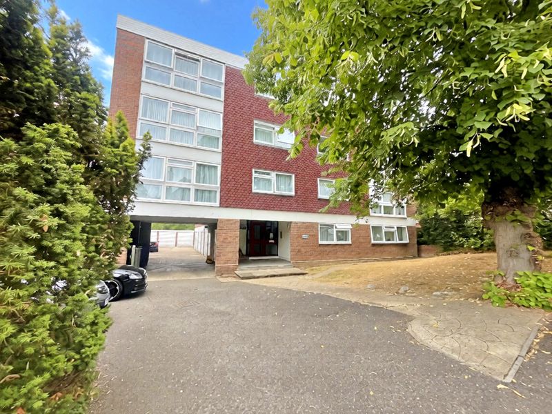 Main Image